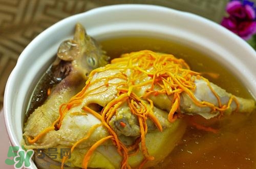 蟲(chóng)草花怎么吃？蟲(chóng)草花的吃法用量