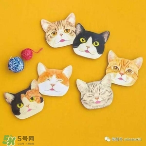 felissimo貓爪化妝棉多少錢？felissimo貓爪化妝棉哪里買？