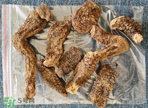 野生肉蓯蓉多少錢一斤？肉蓯蓉價格一斤多少錢？