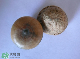 風流果多少錢一斤？風流果的價格