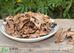分心木真的能治失眠嗎？分心木治療失眠有奇效