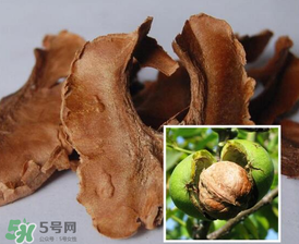 核桃分心木能長期喝嗎？核桃分心木一天喝幾次？