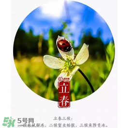 立春可以出門嗎？立春為什么不能出門？