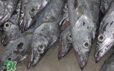 吃帶魚(yú)可以暖胃嗎?帶魚(yú)怎么吃最暖胃?
