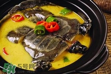 有乙肝可以吃甲魚嗎？乙肝患者禁吃甲魚