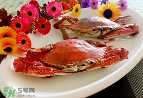 臘月吃什么蟹？臘月吃公蟹還是母蟹？