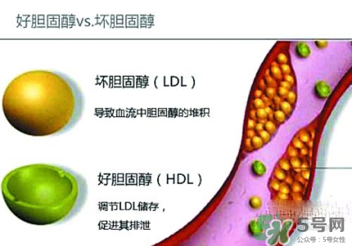 膽固醇高是血脂稠嗎？膽固醇高和血脂稠有什么聯(lián)系？