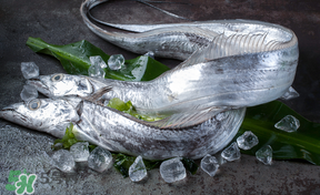 帶魚多少錢一斤？帶魚多少錢一箱？