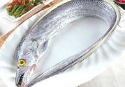 帶魚(yú)多少錢(qián)一斤？帶魚(yú)多少錢(qián)一箱？