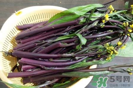 紅菜苔怎么保存？紅菜苔的存儲(chǔ)方法