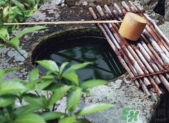 井華水是什么？井華水的含義
