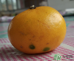橘子皮發(fā)霉可以吃嗎？吃了發(fā)霉的橘子怎么辦？