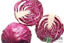 紫甘藍和包心菜哪個更營養(yǎng)？紫甘藍和包心菜的區(qū)別