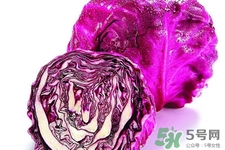 紫甘藍和包心菜哪個更營養(yǎng)？紫甘藍和包心菜的區(qū)別