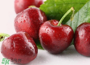 為什么吃車(chē)?yán)遄訒?huì)拉肚子？吃車(chē)?yán)遄永亲釉趺崔k？