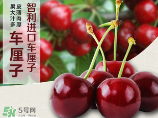車?yán)遄恿验_能吃嗎？車?yán)遄訛槭裁磿?huì)裂開？