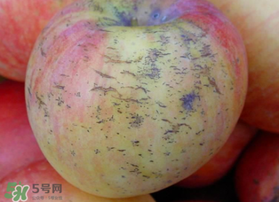 蘋(píng)果裂紋能吃嗎？蘋(píng)果裂紋是怎么回事？