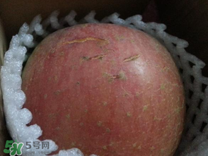 蘋(píng)果裂紋能吃嗎？蘋(píng)果裂紋是怎么回事？