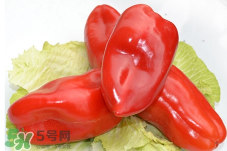 紅椒怎么保存？紅椒的儲(chǔ)存方法