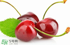 車?yán)遄涌梢詭巷w機(jī)嗎？車?yán)遄幽軒巷w機(jī)嗎？