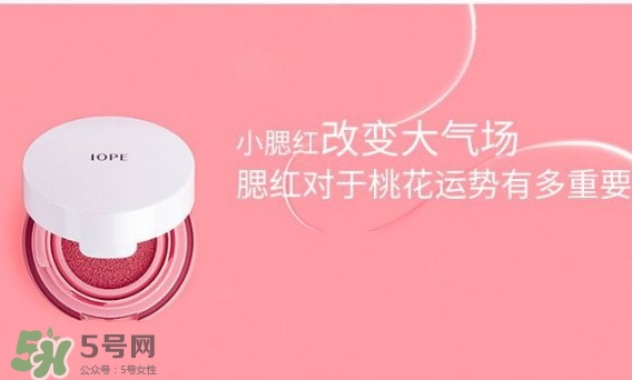 iope氣墊腮紅怎么用？iope亦博氣墊腮紅使用心得