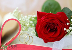 情人節(jié)送什么顏色的玫瑰花好？情人節(jié)送幾朵玫瑰花好？