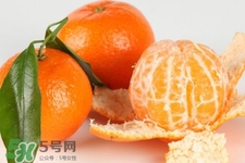 沙糖桔是熱性的嗎？沙糖桔是熱性還是涼性？