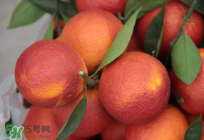 血橙多少錢一斤？四川血橙多少錢一斤？