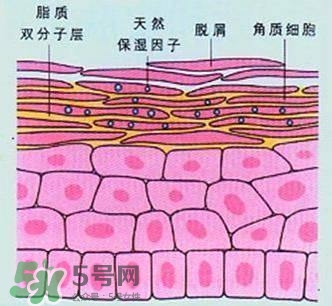 敷面膜真的有效嗎？敷面膜真的有用嗎？