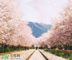 3月份去韓國(guó)穿什么？三月份去韓國(guó)穿什么衣服？