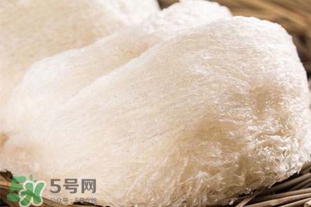 燕窩可以提高免疫力嗎？燕窩能增強(qiáng)免疫力嗎？