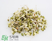 黃豆芽能做餡料嗎？黃豆芽餡包子怎么做？