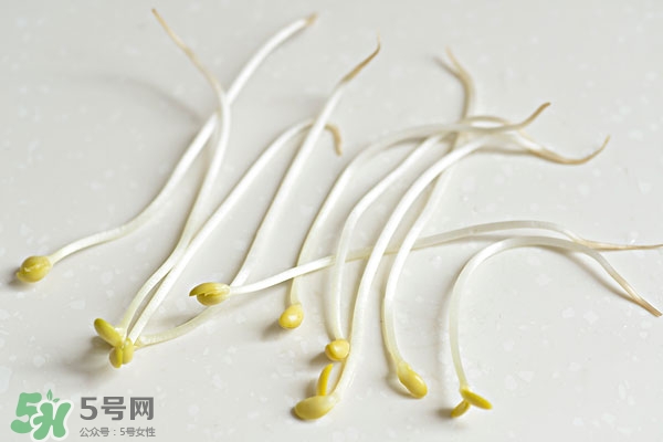 黃豆芽能做餡料嗎？黃豆芽餡包子怎么做？