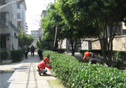 春天吃什么養(yǎng)肝？春季吃什么養(yǎng)肝護(hù)肝？