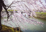 春季養(yǎng)生需注意什么？春季養(yǎng)生宜分三個(gè)時(shí)間段