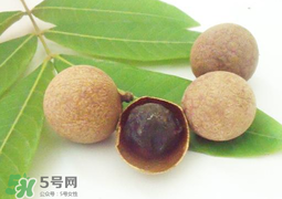 桂圓干多少錢一斤？干桂圓多少錢一斤？