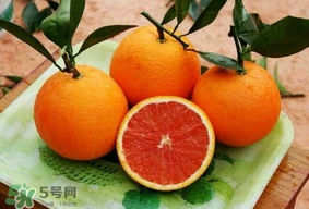 血橙上火嗎？血橙吃多了會上火嗎？