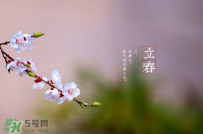 立春后種什么花？立春時(shí)開(kāi)的花有哪些？