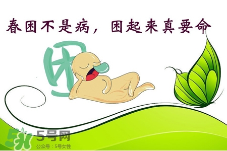 春困開車怎么辦？春天開車易犯困怎么辦？