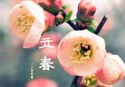 立春后種什么花？立春時(shí)開的花有哪些？