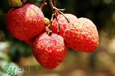 吃荔枝會(huì)過敏嗎？吃荔枝過敏怎么辦？