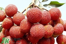 孕期吃荔枝會(huì)流產(chǎn)嗎？孕婦吃荔枝會(huì)好嗎？