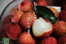 坐飛機(jī)能帶荔枝嗎？荔枝可以帶上飛機(jī)嗎？