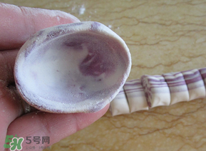湯圓皮怎么做不破裂？湯圓皮怎么做耐煮？