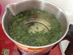 香菜煮水洗腎是真的嗎？香菜煮水洗腎是真的嗎