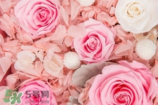 roseonly只能買一次嗎？roseonly如何送第二人？