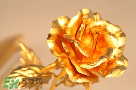 情人節(jié)可以送金玫瑰嗎？情人節(jié)送金玫瑰好嗎？