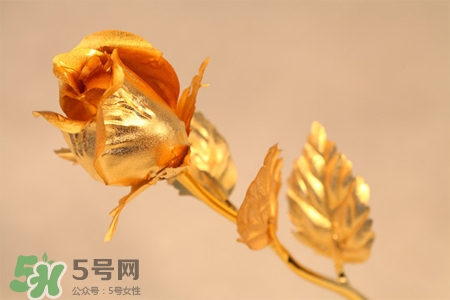 情人節(jié)可以送金玫瑰嗎？情人節(jié)送金玫瑰好嗎？