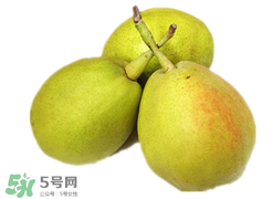 香梨多少錢一斤？香梨怎么挑選？