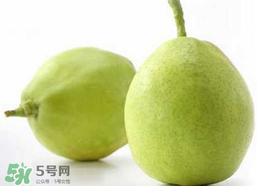 香梨多少錢一斤？香梨怎么挑選？